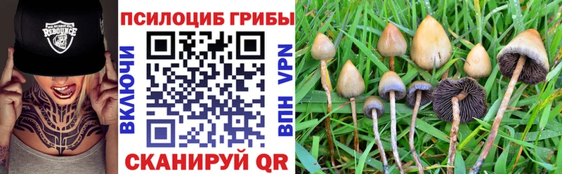закладки Калининск Галлюциногенные грибы GOLDEN TEACHER
