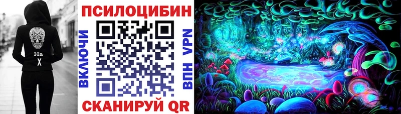 Галлюциногенные грибы Psilocybe Калининск