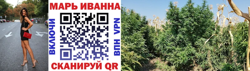 Канабис сатива Калининск